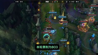质补